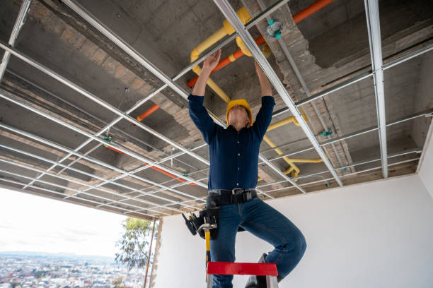 Best Local Plumber Services  in Oneida, TN